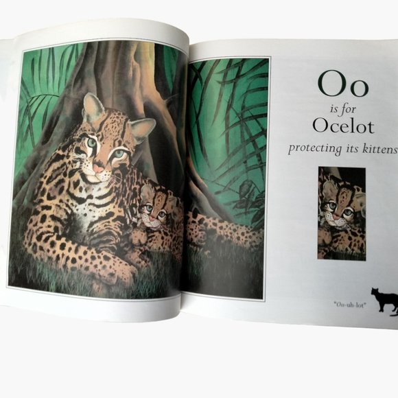 Amazon Alphabet  Book Martin Tanis Jordan Paperback Large Picture Book - Picture 4 of 9